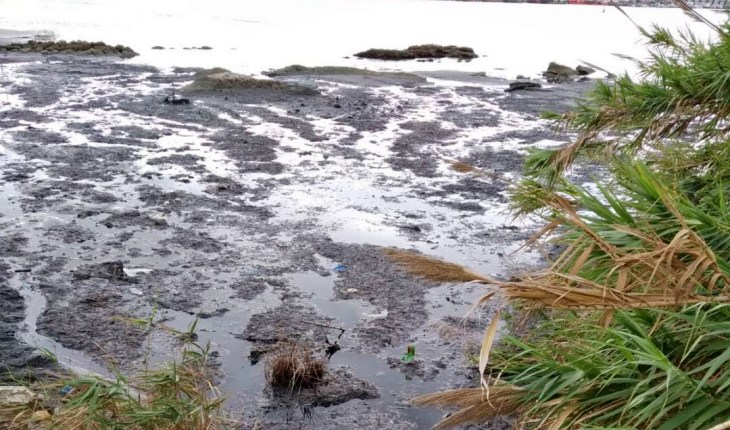 Urge recoger los residuos en la playa de La Concha del Campo de Gibraltar