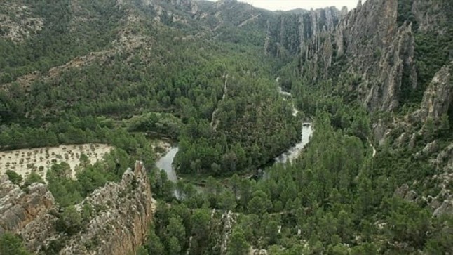 Buscando fondos desesperadamente para reforestar las Hoces del Cabriel (Valencia)
