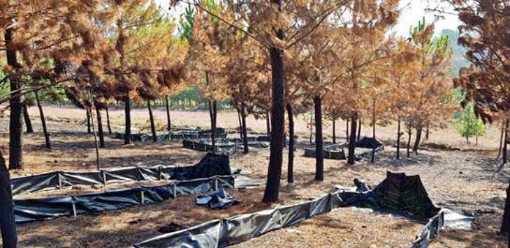 El proyecto europeo LIFE REFOREST ha iniciado la implementación y validación de su sistema de micotecnosuelos para mitigar la erosión y pérdida de suelo