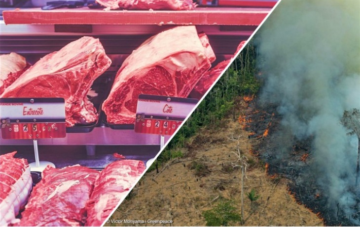 Qué relación hay entre el consumo de carne y lo ocurrido en la Amazonia