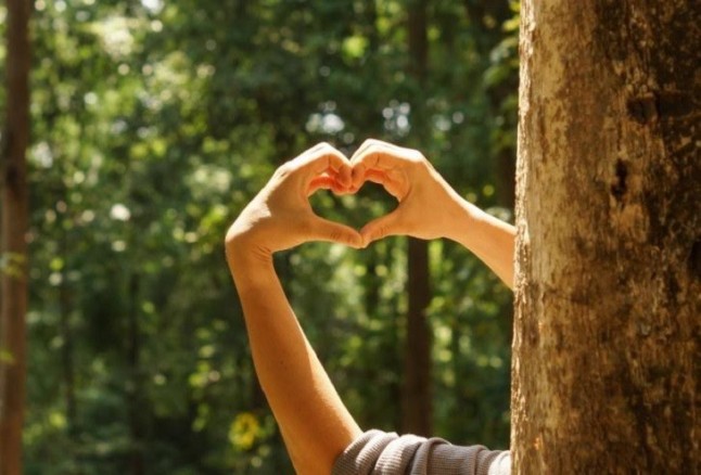 Columbares y Greenpeace acercarán a 180 alumnos valores de respeto