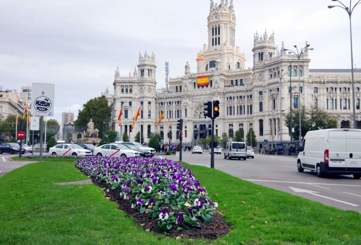 Madrid se cubre de flores de invierno