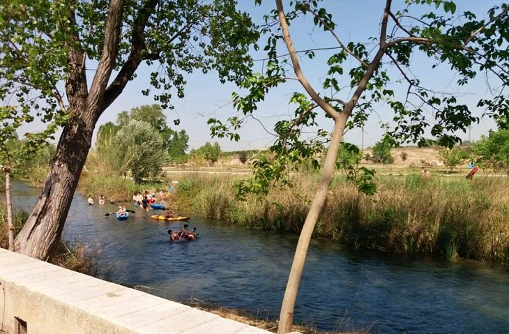 Valencia. Riba-roja plantará más de 2.000 árboles como símbolo al incendio de la Amazonia