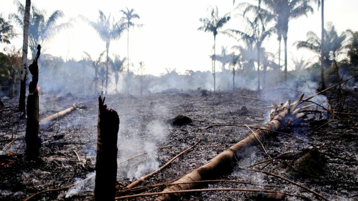 Ricky Martin y Camila Cabello ‘claman’ para frenar el fuego en el Amazonas