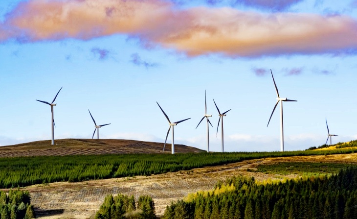 La respuesta climática solo pasa por apostar en energías renovables