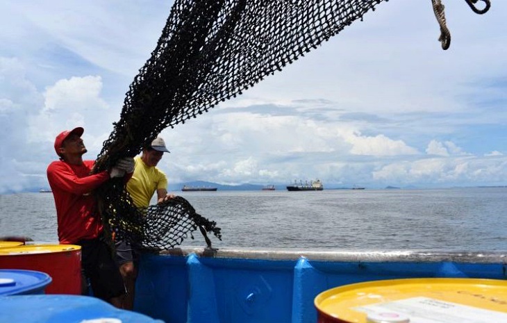 Reduciendo la ‘sobreexplotación’ de atunes tropicales