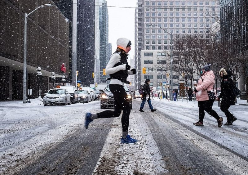 10 alimentos ecológicos para pasar el invierno