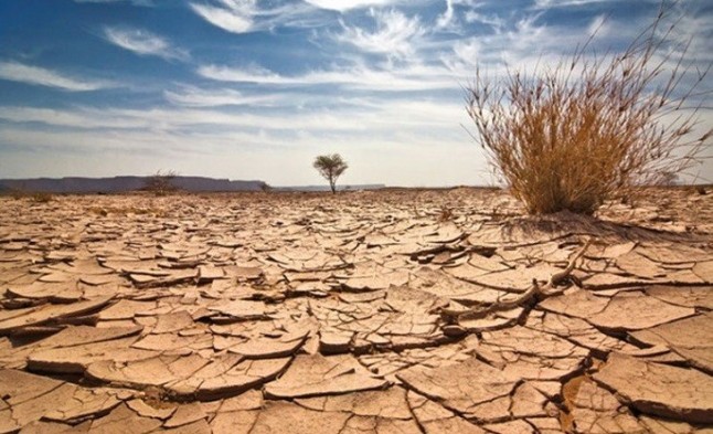 El cambio climático colapsaría las redes alimentarias