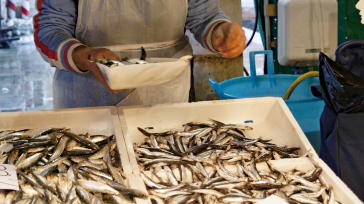 España y Portugal se reúnen para abordar la problemática de la Sardina Ibérica