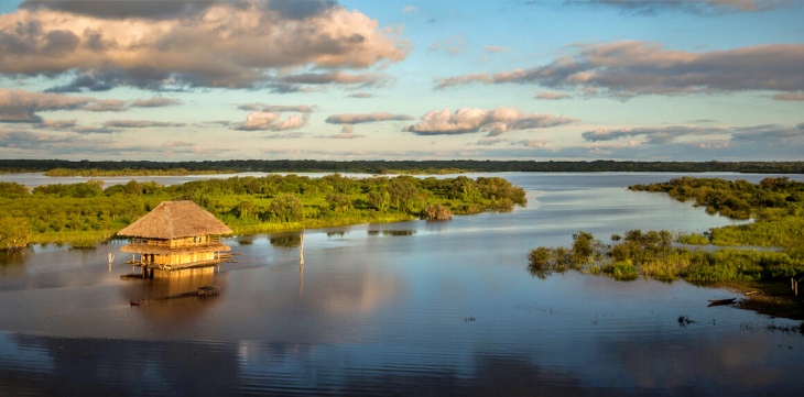 El mal menor de los incendios en África es su acción fertilizante en la selva amazónica