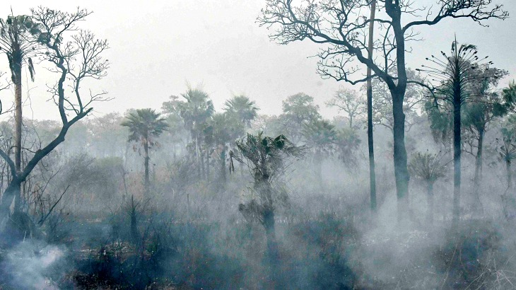 Incendios forestales en Siberia