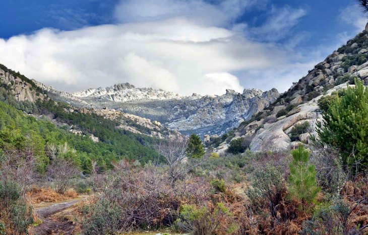 Trabajos de restauración de los suelos afectados por el incendio forestal del Parque Nacional de la Sierra de Guadarrama