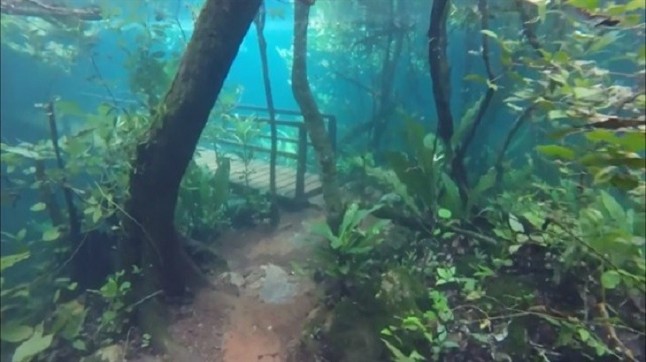 Una ruta de senderismo brasileña inundada dio lugar a un fascinante paraíso submarino
