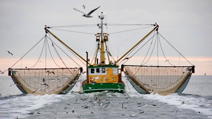 La protección de los océanos para la mayoría de países es un tema ‘menor’