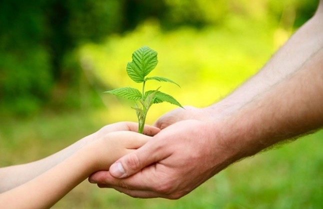 ANSE pone en marcha un proyecto formativo para avanzar en la sostenibilidad de la agricultura