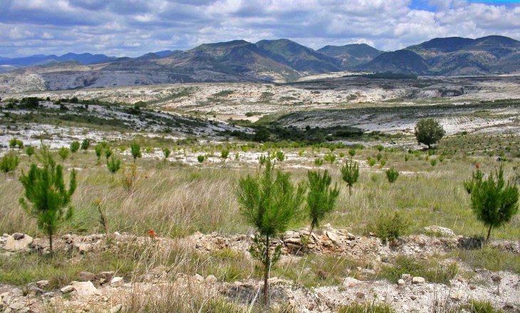 Para minimizar el cambio climático es imprescindible la restauración de la tierra