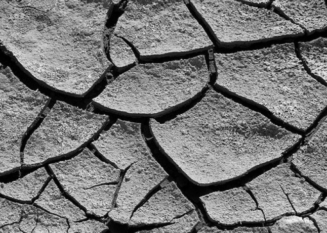 Primer paso hacia una ecología más predictiva