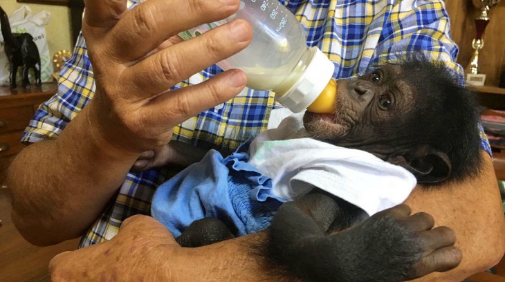 Las malas prácticas de los zoos en Andalucía