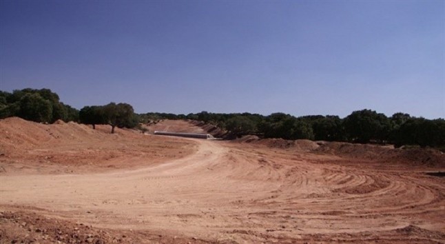 Desmadre en la tala de encinas en Retortillo (Salamanca)