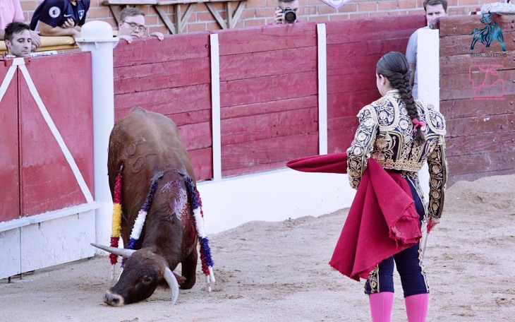 Castilla-La Mancha. Recogen firmas para prohibir la participación de menores en festejos taurinos