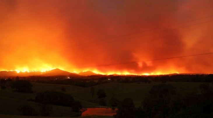 Diez millones de hectáreas ‘fulminadas’ por los incendios forestales de Australia