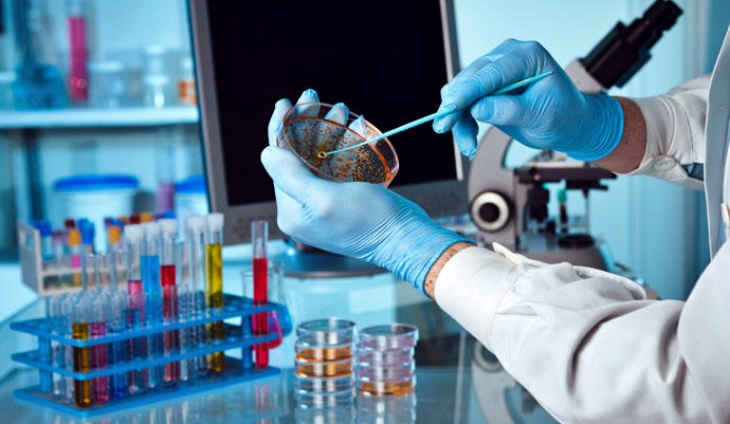 Contradicen a Darwin