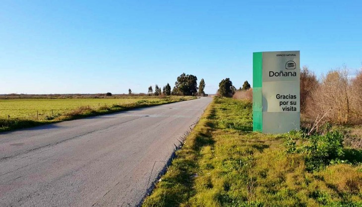 Ecologistas se oponen a la autopista que atravesará Doñana