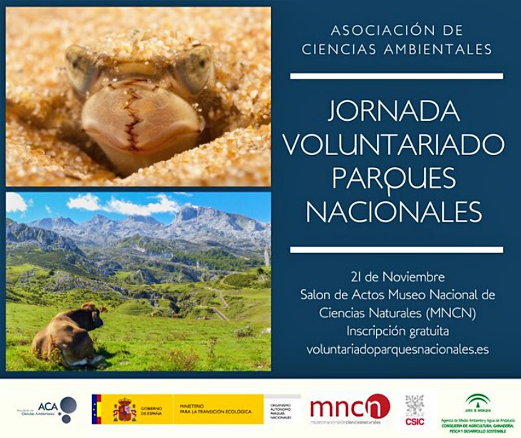 Los insectos presentes en nuestros ríos