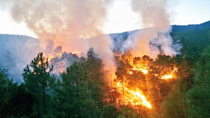 Las emisiones de ‘óxido nitroso’ se disparan