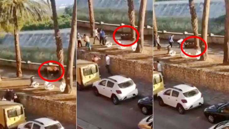 Un policía local de Algemesí disparó 20 veces en la vía pública contra un toro que huyó aterrorizado de la plaza