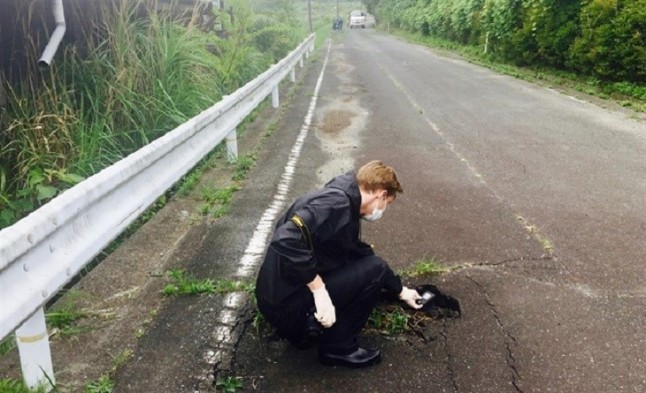 La larga y toxica sombra de Fukushima