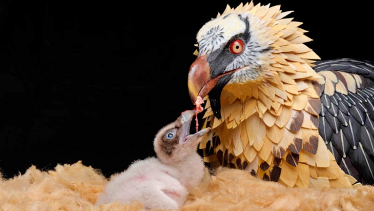 España destina subvenciones a entidades ambientales y de cambio climático