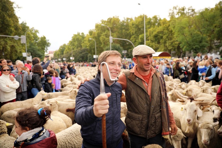 Fiesta de la Trashumancia en Madrid