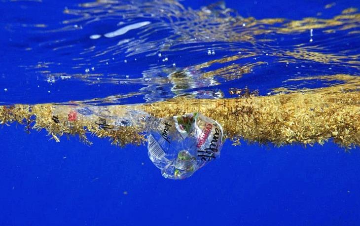 El Triángulo de las Bermudas tiene un gravísimo problema y su nombre es: ‘microplásticos’