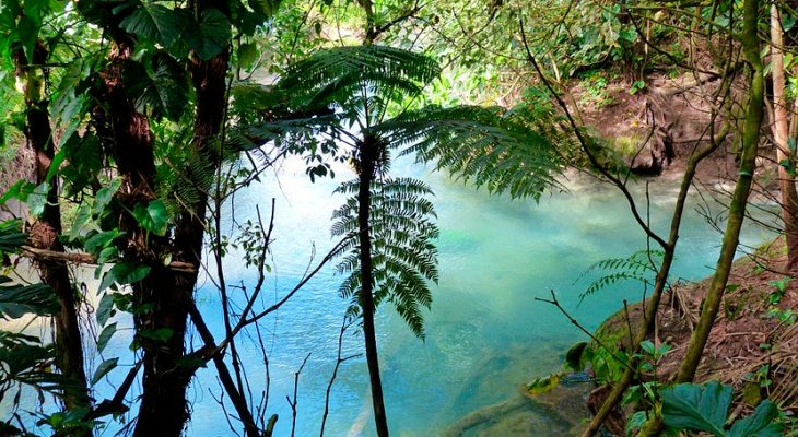La gran amenaza que se cierne sobre los trópicos