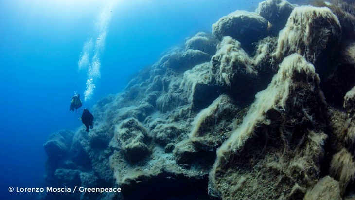 Te contamos los cinco puntos imprescindibles para conocer la esencia de las montañas bajo el mar