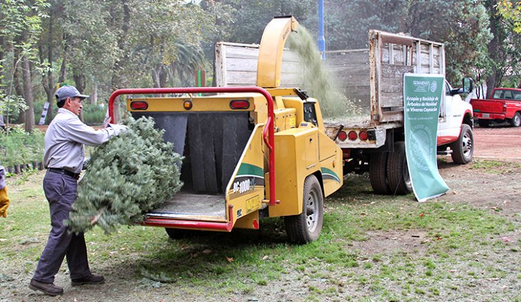 México. Acude a los centros de acopio y recicla tu árbol de Navidad