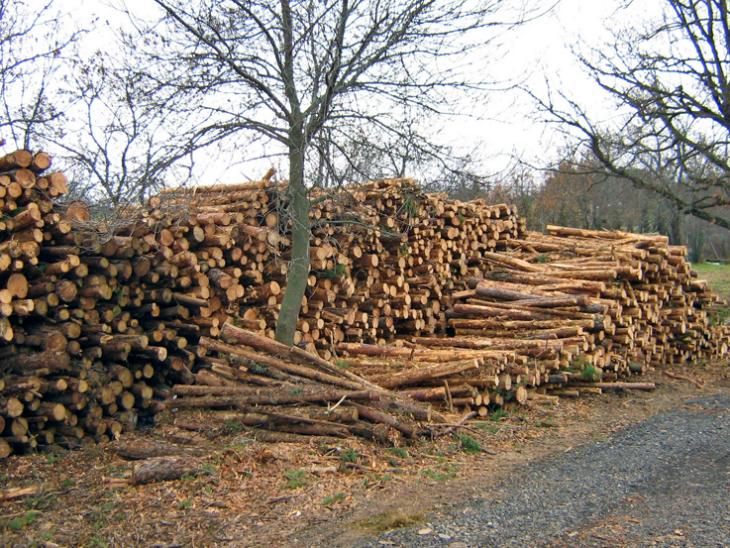 Por un IVA reducido a la biomasa forestal y a sus instalaciones