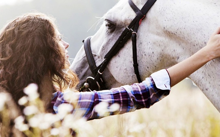 Si un caballo ha sufrido episodios de estrés lo verás en sus ojos