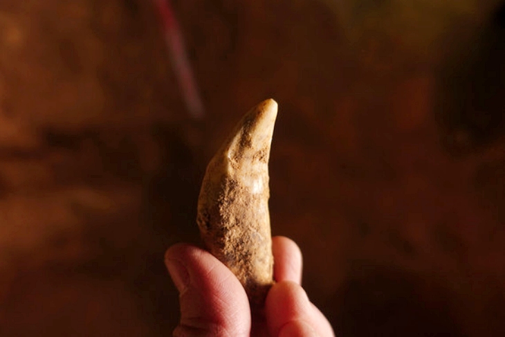 El centro de ‘España’ era hace millones de años una enorme ‘tundra-estepa’