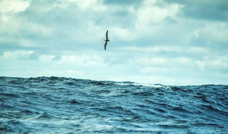 El cambio climático está causando estragos en nuestros océanos. Así es como los salvamos.