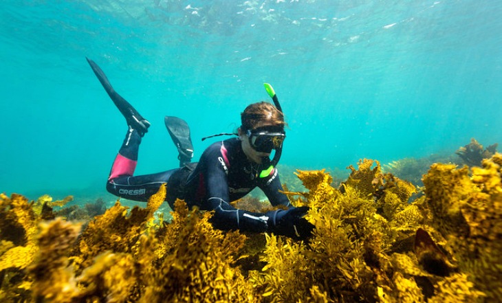 La enorme fuerza de la cultura y el arte para concienciar sobre el cambio climático