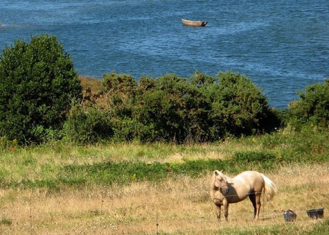 Vacaciones económicas y ecológicas