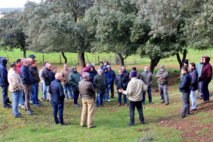 Nuevas prácticas ayudan a salvar la dehesa