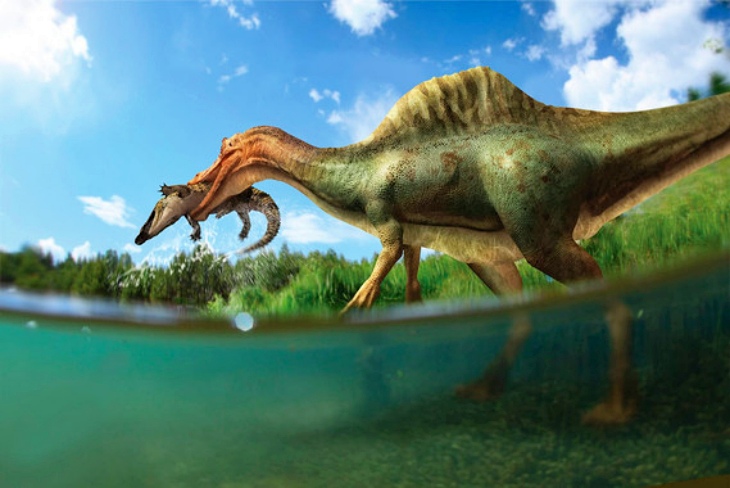 Hallan el primer dinosaurio espinosáurido de la península ibérica