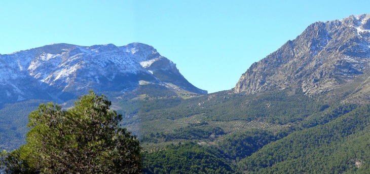 Asociación de Empresas de Consultoría Medioambiental de Andalucía critica la mala gestión de las ayudas para la prevención de incendios