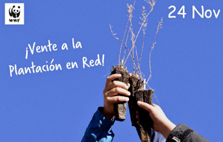 9ª Plantación por el Clima