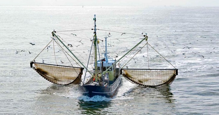 Las ONG plantean líneas rojas para la pesca de arrastre en el Mediterráneo