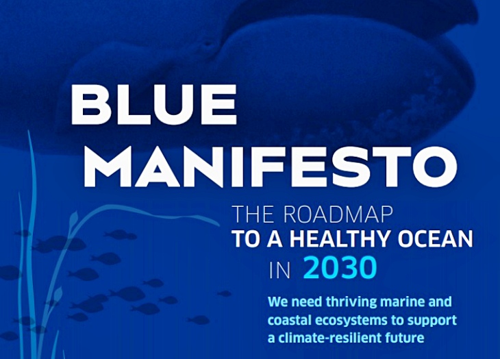 Más de cien organizaciones ecologistas exigen rescatar los océanos