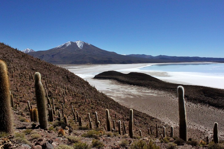 La naturaleza invisible del suelo es clave para mitigar los efectos del cambio climático